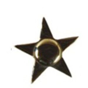 Decorative Nail Heads Brass Domes Star Design Clavos & Nails- 75mm