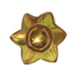 Decorative Nail Heads Brass Domes - 32mm