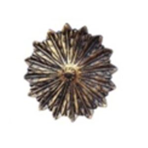 Decorative Nail Heads Brass Domes - 75mm