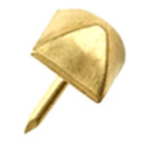Decorative Nail Heads Brass Decorative door studs (20x6mm15mm pin)